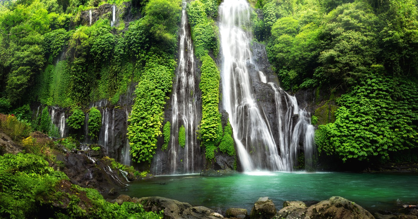 rainforest waterfall