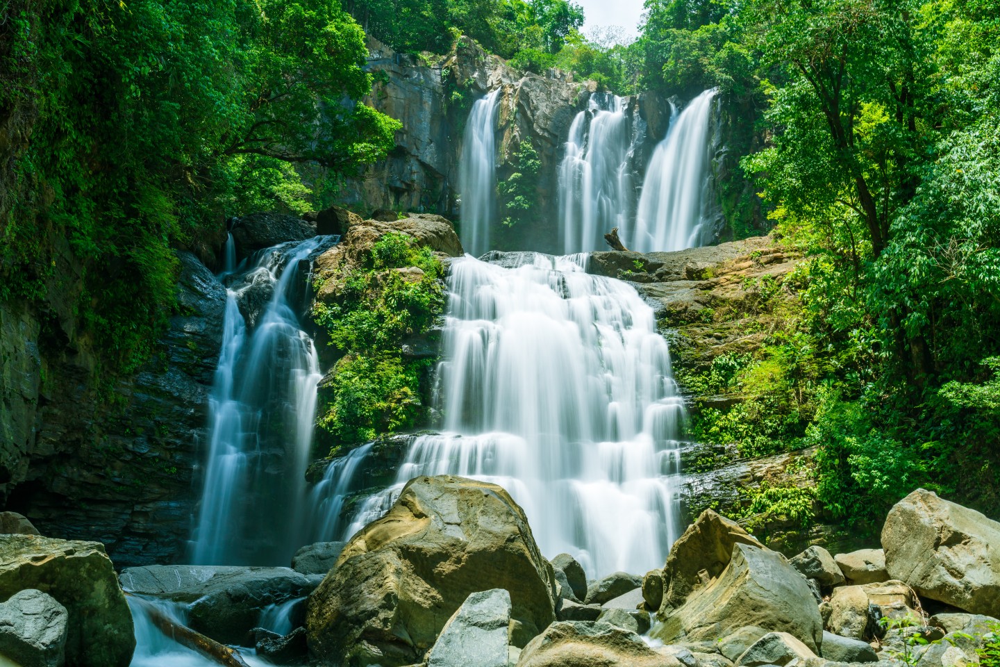rainforest waterfalls